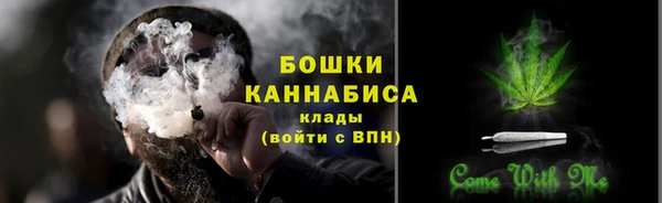 крисы Армянск
