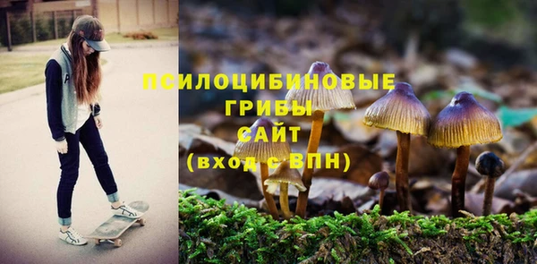 дмт Аркадак