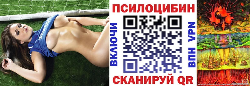 Псилоцибиновые грибы мухоморы Северо-Курильск